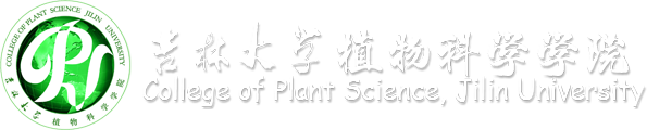w88优德